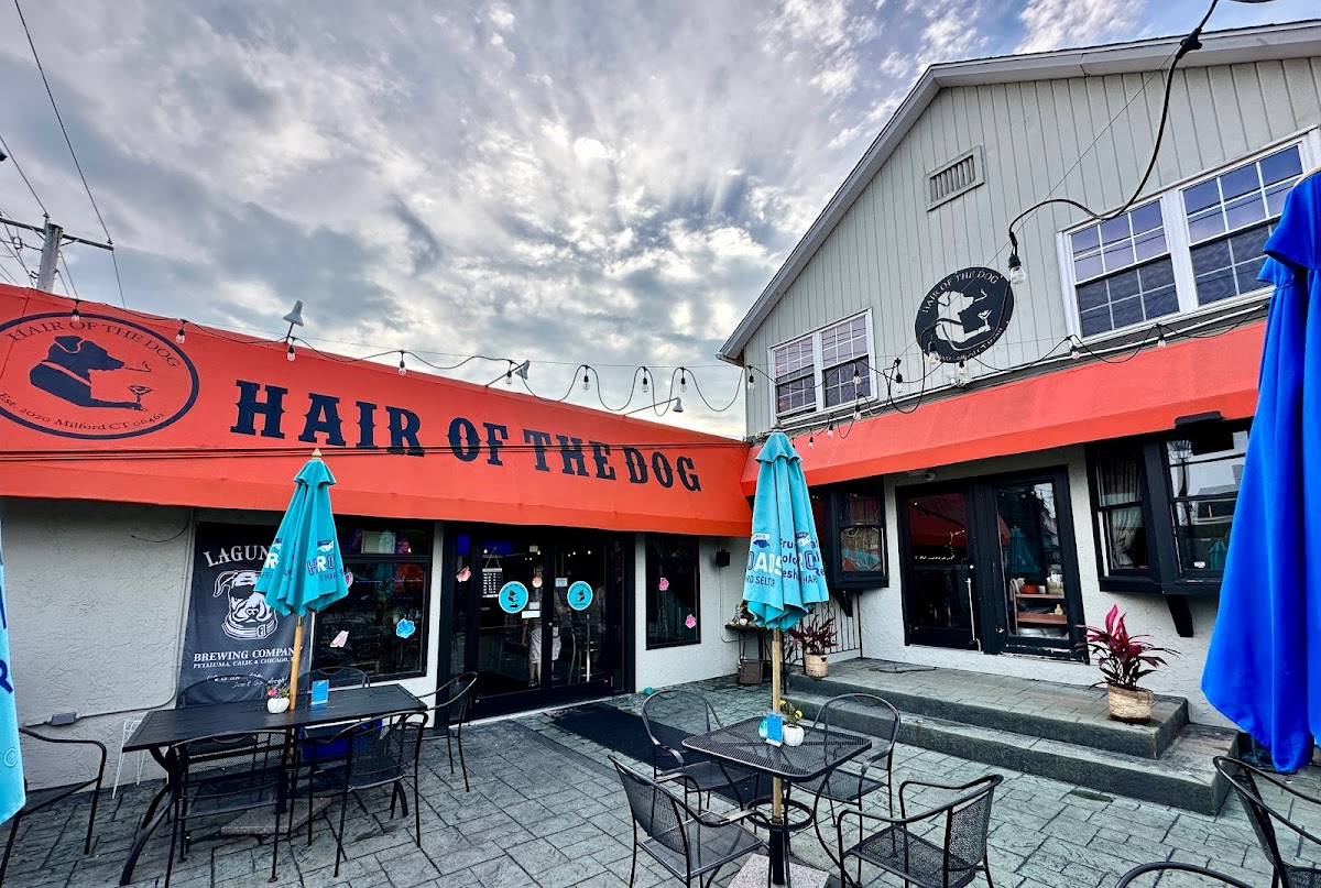 Hair of the Dog Milford